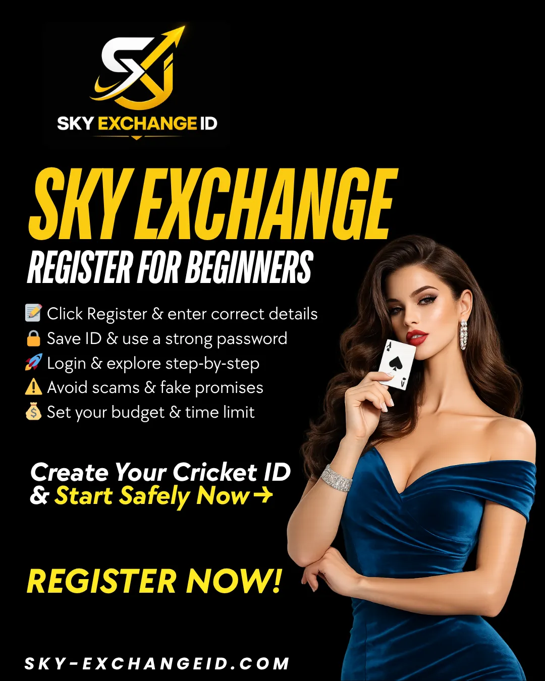 Sky Exchange Register Page for Beginners